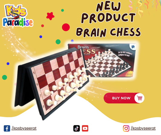 Magnetic Chess Brain Game