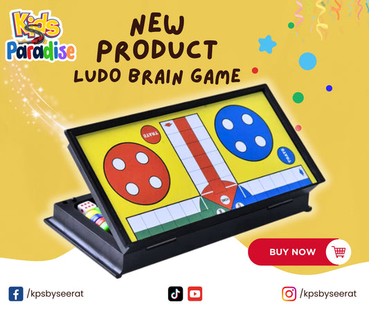 Magnetic Ludo Brain Game