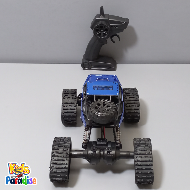 Big Wheel 2in1 Dual Mode RR-YT6608 RC CAR