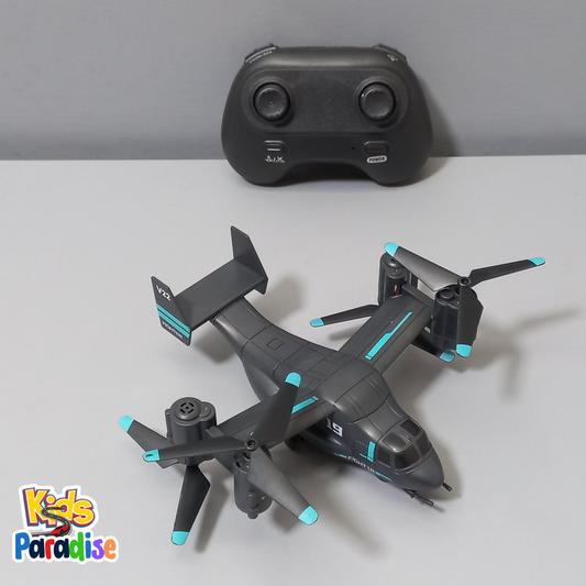 Remote Control Flying LM19 Professional Plane