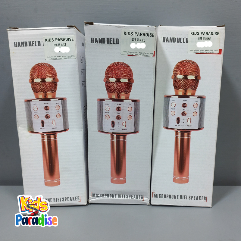 Boy Girl Microphone, Boy Girl Microphone Birthday Gift