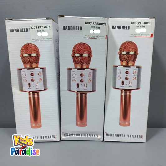 Boy Girl Microphone, Boy Girl Microphone Birthday Gift