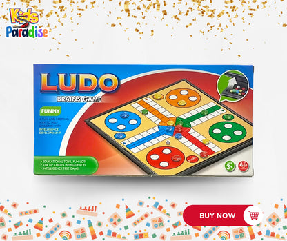 Magnetic Ludo Brain Game
