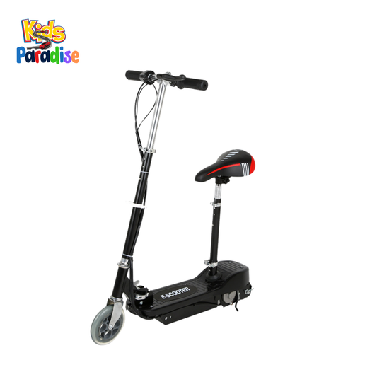 ES-2-4K E-Scooter Lithium Battery 24V 2.5A
