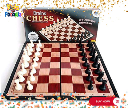 Magnetic Chess Brain Game