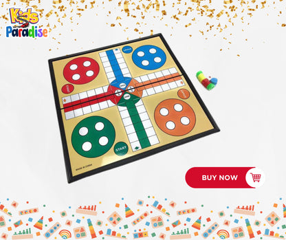 Magnetic Ludo Brain Game