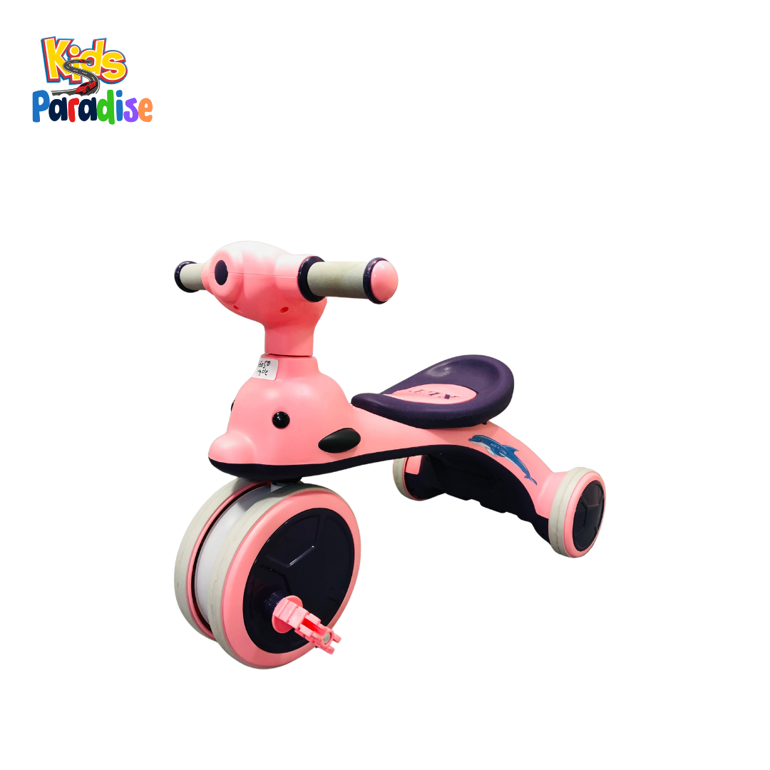 Musical Kids Tricycle 605 ABD