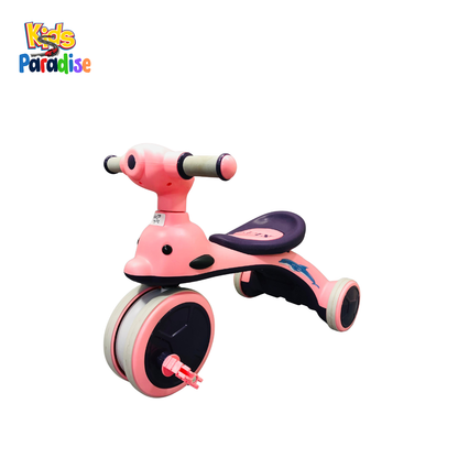 Musical Kids Tricycle 605 ABD