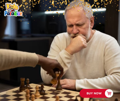 Magnetic Chess Brain Game