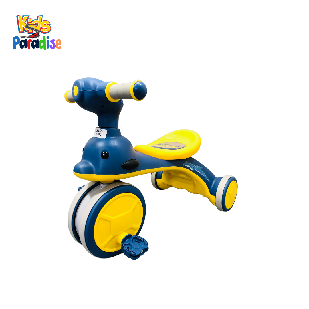 Musical Kids Tricycle 605 ABD