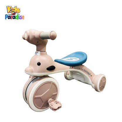 Musical Kids Tricycle 605 ABD